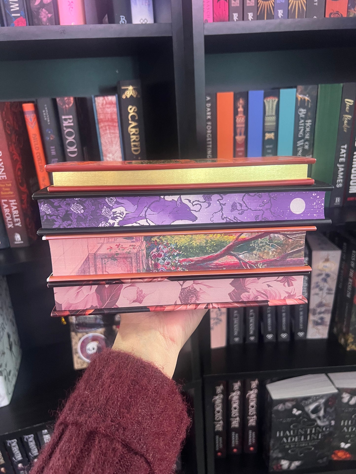 Blind Date with a Book