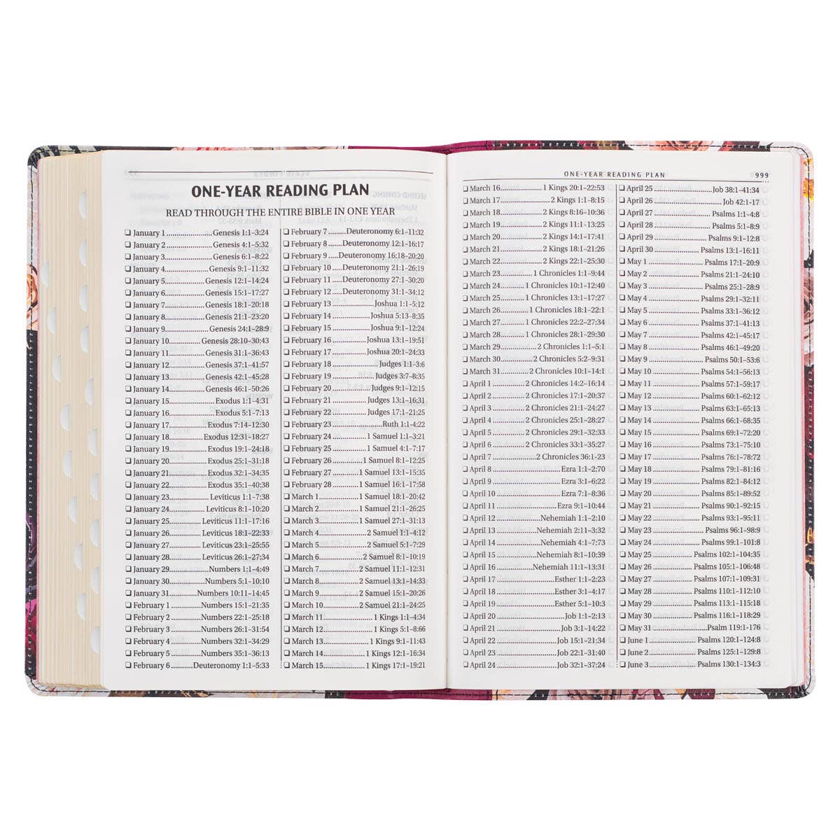 Black & Burgundy Faux Leather Large Print KJV Bible w/tabs