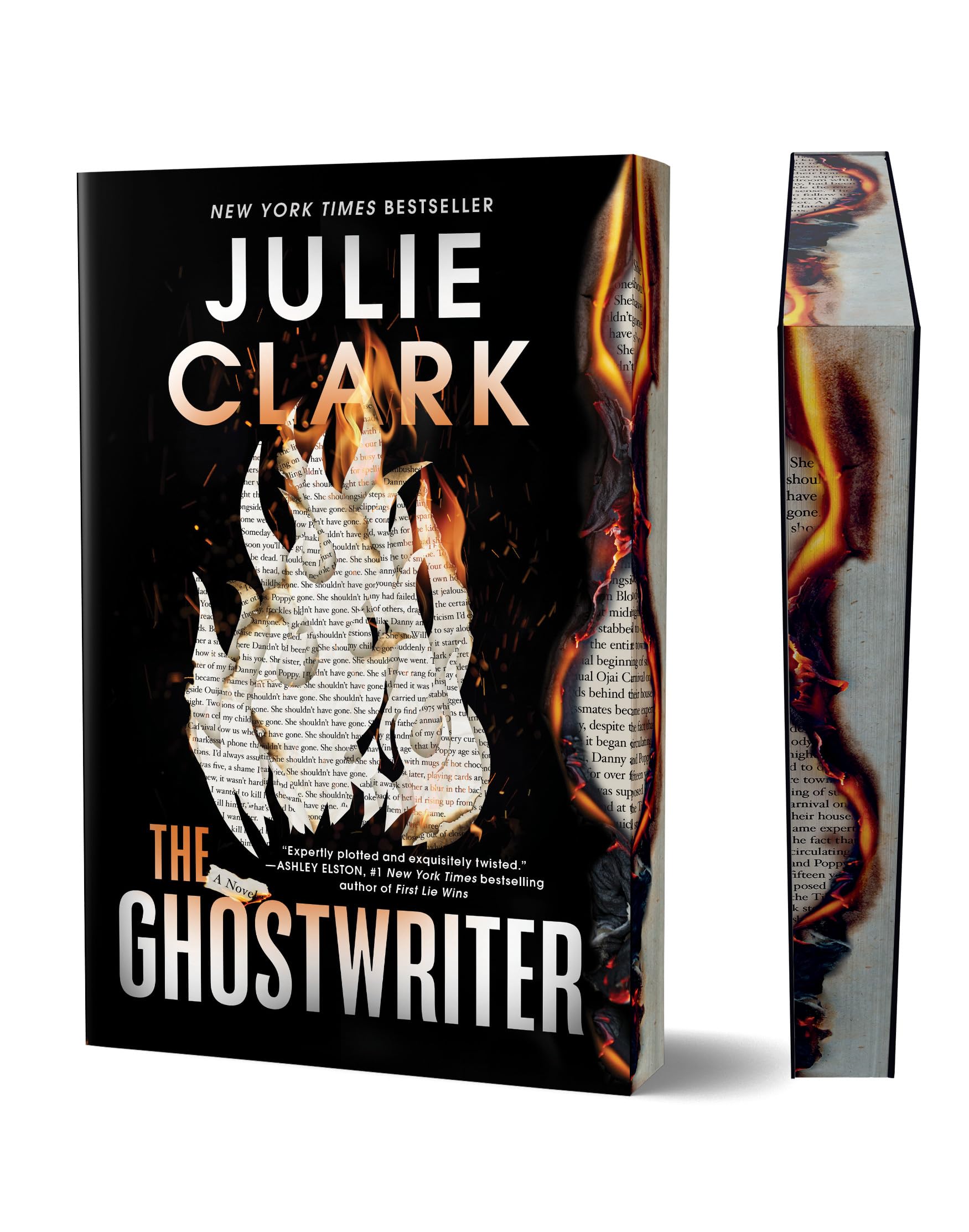 The Ghostwriter (Deluxe Edition): A Novel