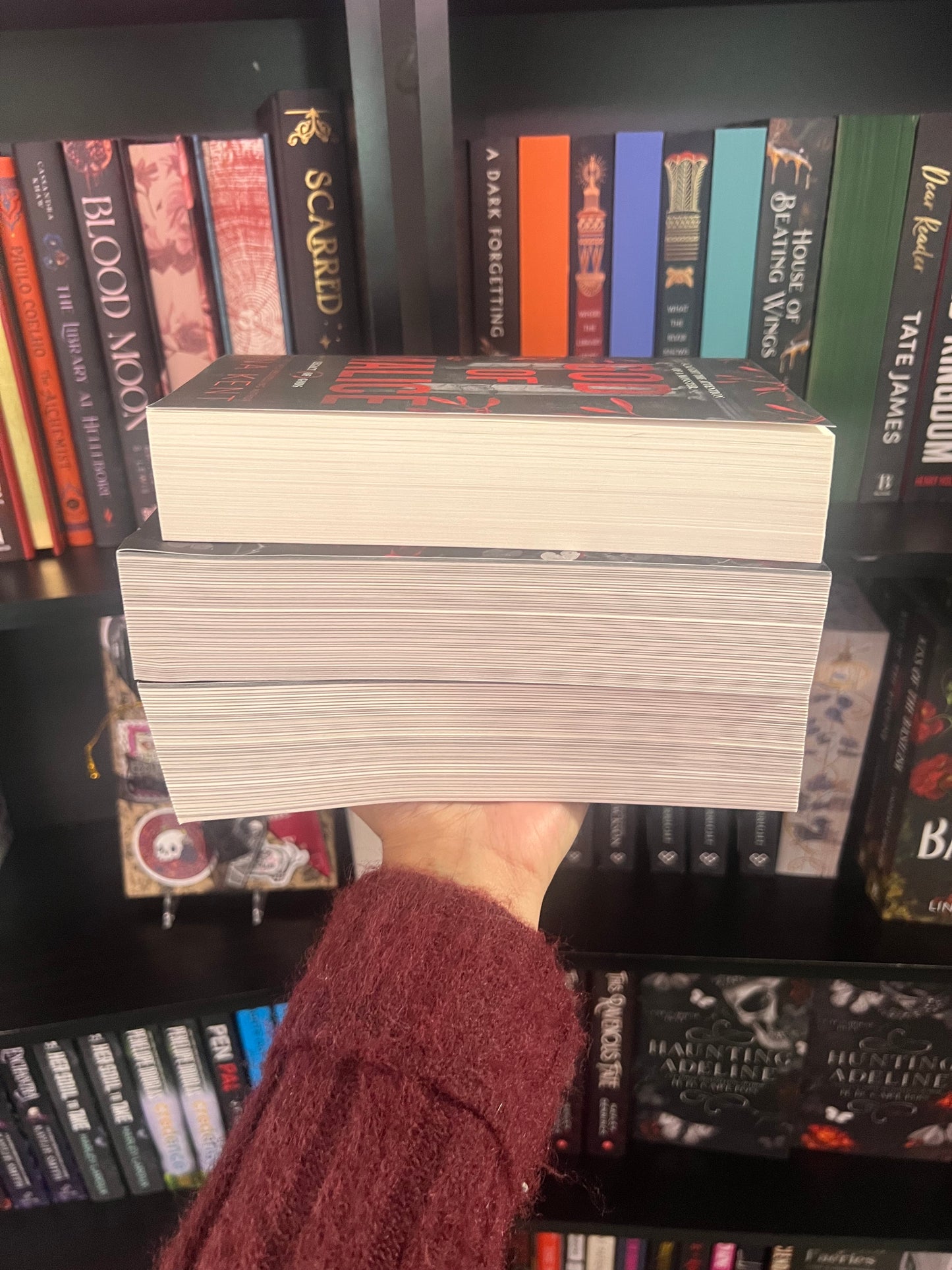 Blind Date with a Book