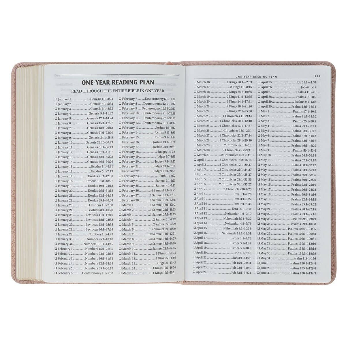 KJV Bible Compact Faux Leather, Pink 2025